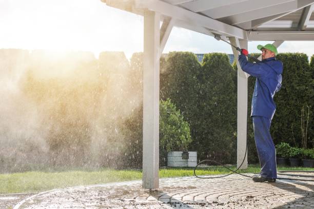 Best Solar Panel Cleaning  in Bismarck, MO