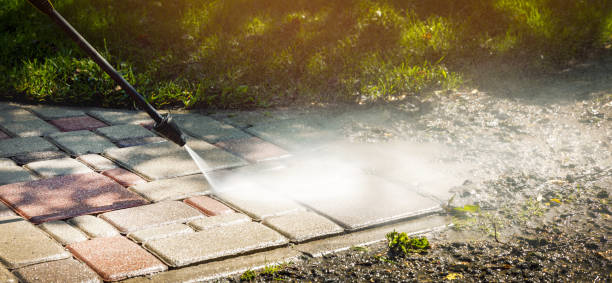 Best Roof Washing  in Bismarck, MO